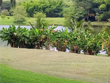 VENTA FINCA SIRIA, SUROESTE ANTIOQUEÑO