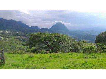 VENTA DE FINCA VENECIA, SUROESTE ANTIOQUEÑO.