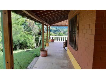 VENTA DE FINCA VENECIA, SUROESTE ANTIOQUEÑO.