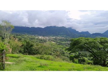 VENTA DE FINCA VENECIA, SUROESTE ANTIOQUEÑO.