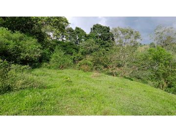 VENTA DE FINCA VENECIA, SUROESTE ANTIOQUEÑO.