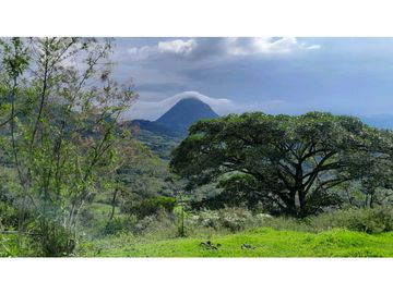 VENTA DE FINCA VENECIA, SUROESTE ANTIOQUEÑO.