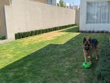 VENTA RENTA CASA EN FRACCIONAMIENTO EN HACIENDA SAN ANTONIO METEPEC