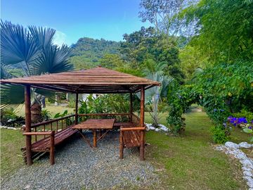 VENTA DE FINCA EN VENECIA SUROESTE ANTIOQUEÑO