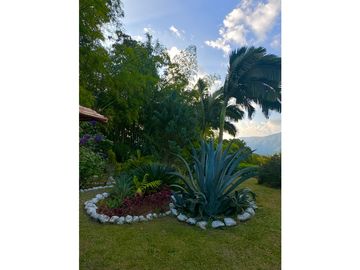 VENTA DE FINCA EN VENECIA SUROESTE ANTIOQUEÑO
