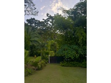 VENTA DE FINCA EN VENECIA SUROESTE ANTIOQUEÑO