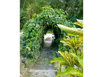 VENTA DE FINCA EN VENECIA SUROESTE ANTIOQUEÑO