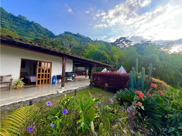 VENTA DE FINCA EN VENECIA SUROESTE ANTIOQUEÑO