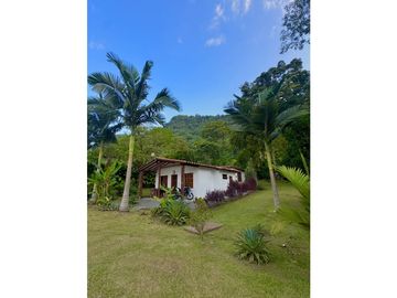 VENTA DE FINCA EN VENECIA SUROESTE ANTIOQUEÑO