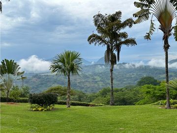 VENTA FINCA TMESIS, SUROESTE ANTIOQUEÑO