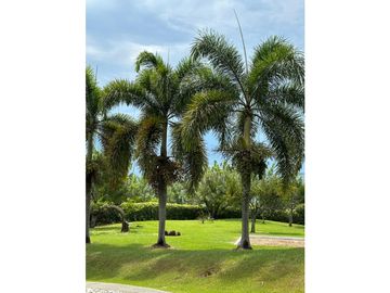 VENTA FINCA TMESIS, SUROESTE ANTIOQUEÑO