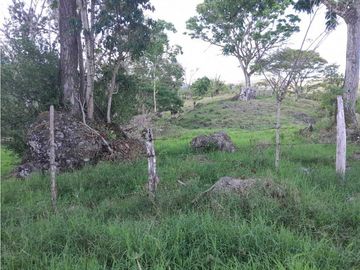 VENTA DE FINCA, FREDONIA SUROESTE ANTIOQUEÑO.