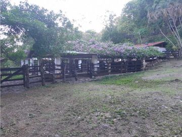 VENTA DE FINCA, FREDONIA SUROESTE ANTIOQUEÑO.