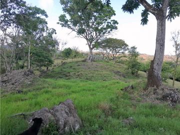 VENTA DE FINCA, FREDONIA SUROESTE ANTIOQUEÑO.