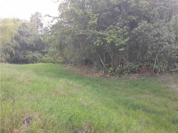 VENTA DE FINCA, FREDONIA SUROESTE ANTIOQUEÑO.