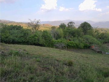 VENTA DE FINCA, FREDONIA SUROESTE ANTIOQUEÑO.