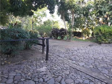 VENTA DE FINCA, FREDONIA SUROESTE ANTIOQUEÑO.