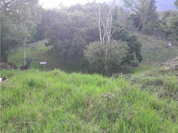 VENTA DE FINCA, FREDONIA SUROESTE ANTIOQUEÑO.