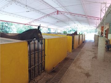 VENTA DE FINCA EN VENECIA SUROESTE ANTIOQUEÑO