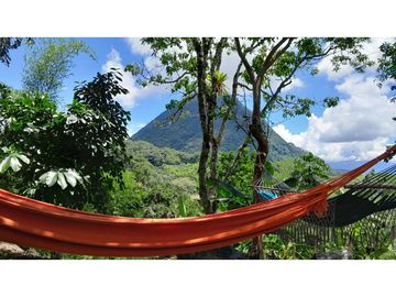 VENTA DE FINCA EN VENECIA SUROESTE ANTIOQUEÑO