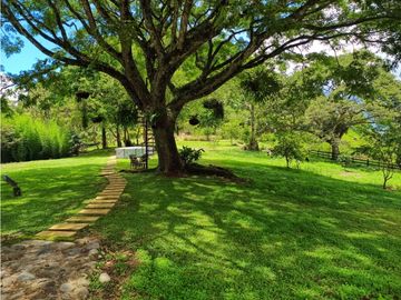 VENTA DE FINCA EN VENECIA SUROESTE ANTIOQUEÑO