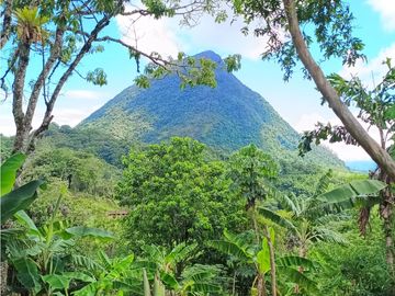 VENTA DE FINCA EN VENECIA SUROESTE ANTIOQUEÑO