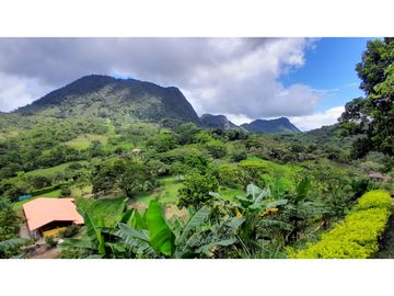 VENTA DE FINCA EN VENECIA SUROESTE ANTIOQUEÑO