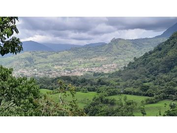 VENTA DE FINCA EN VENECIA SUROESTE ANTIOQUEÑO