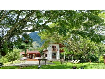 VENTA DE FINCA EN VENECIA SUROESTE ANTIOQUEÑO