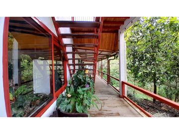 VENTA DE FINCA EN VENECIA SUROESTE ANTIOQUEÑO