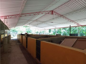 VENTA DE FINCA EN VENECIA SUROESTE ANTIOQUEÑO