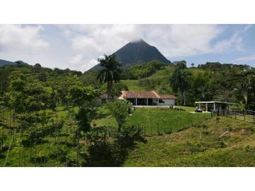 VENTA DE FINCA EN VENECIA SUROESTE ANTIOQUEÑO
