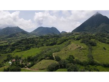 VENTA DE FINCA EN VENECIA SUROESTE ANTIOQUEÑO