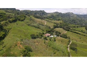 VENTA DE FINCA EN VENECIA SUROESTE ANTIOQUEÑO
