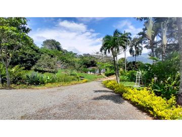 VENTA DE FINCA EN VENECIA SUROESTE ANTIOQUEÑO