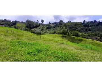VENTA DE FINCA FREDONIA,SUROESTE ANTIOQUEÑO.