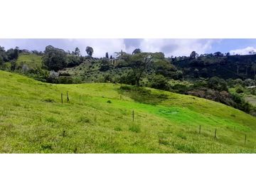 VENTA DE FINCA FREDONIA,SUROESTE ANTIOQUEÑO.