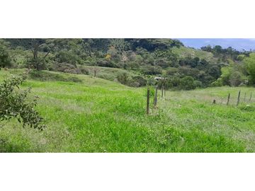 VENTA DE FINCA FREDONIA,SUROESTE ANTIOQUEÑO.