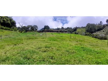 VENTA DE FINCA FREDONIA,SUROESTE ANTIOQUEÑO.