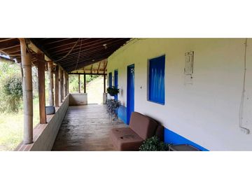 VENTA DE FINCA FREDONIA,SUROESTE ANTIOQUEÑO.