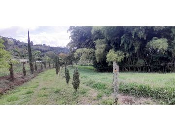 VENTA DE FINCA FREDONIA,SUROESTE ANTIOQUEÑO.