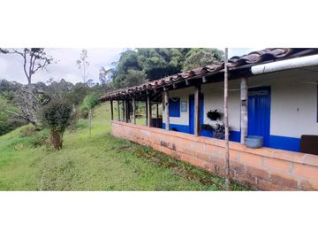 VENTA DE FINCA FREDONIA,SUROESTE ANTIOQUEÑO.