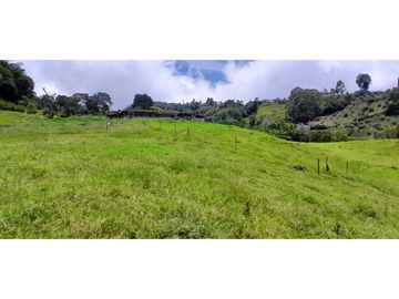 VENTA DE FINCA FREDONIA,SUROESTE ANTIOQUEÑO.
