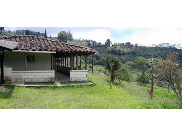 VENTA DE FINCA FREDONIA,SUROESTE ANTIOQUEÑO.