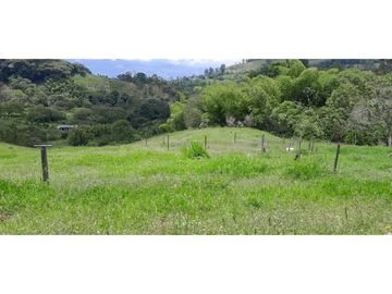 VENTA DE FINCA FREDONIA,SUROESTE ANTIOQUEÑO.