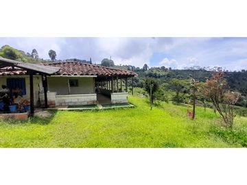 VENTA DE FINCA FREDONIA,SUROESTE ANTIOQUEÑO.