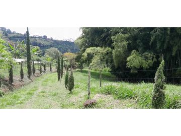 VENTA DE FINCA FREDONIA,SUROESTE ANTIOQUEÑO.