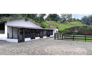 VENTA DE FINCA FREDONIA, SUROESTE ANTIOQUEÑO.
