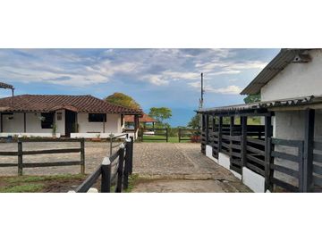 VENTA DE FINCA FREDONIA, SUROESTE ANTIOQUEÑO.