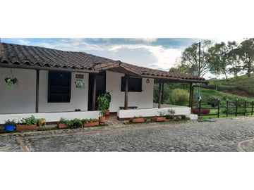 VENTA DE FINCA FREDONIA, SUROESTE ANTIOQUEÑO.